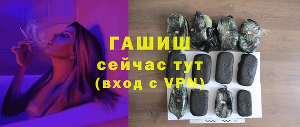 сатива Беломорск