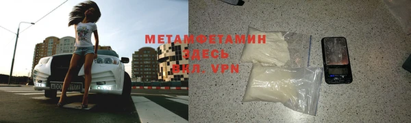 сатива Беломорск