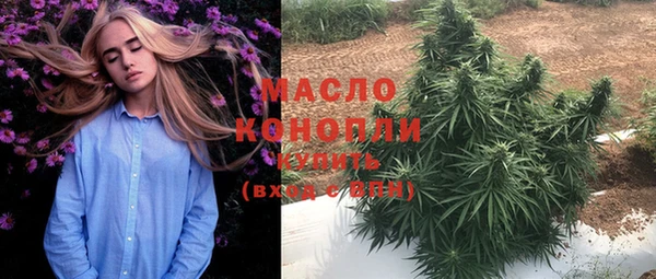 сатива Беломорск