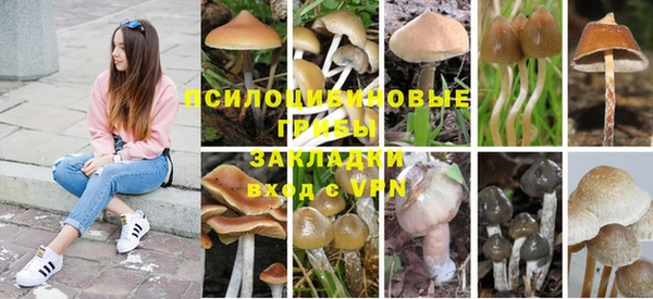 кокаин VHQ Белокуриха