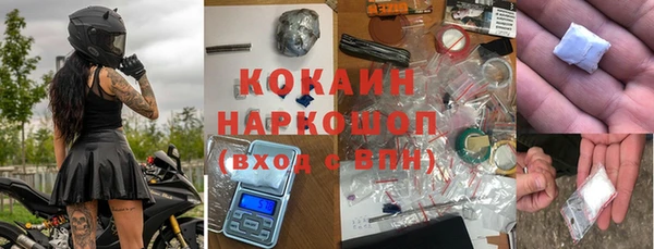 сатива Беломорск