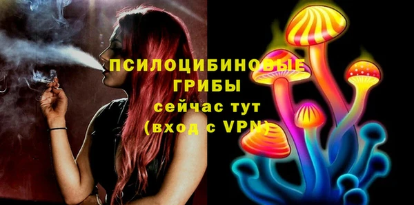 твердый Белоозёрский