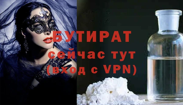 прущие грибы Сосновоборск
