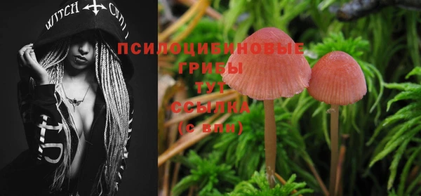 твердый Белоозёрский