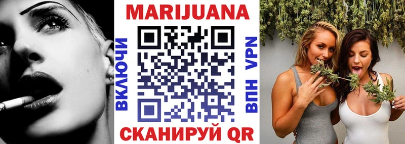 Бошки марихуана сатива  Бородино 